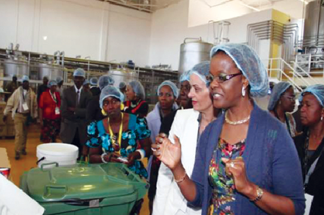 Gushungo dairy ‘bomber’ acquitted
