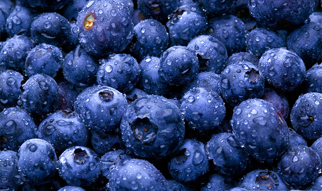 European demand for Zim blueberries soars