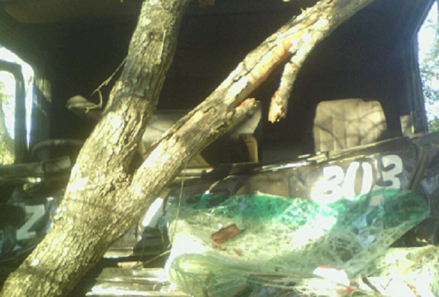 2 survive truck-jumbo crash