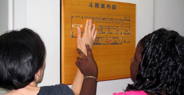 Duty on materials for training the blind