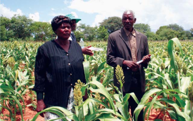 Innovative fertilisers, hope for Africa’s Green Revolution