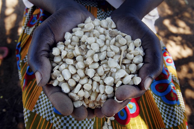 Govt increases food aid beneficiaries
