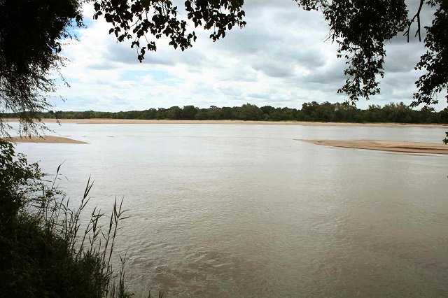 Elephants trample border jumper at Shashe River