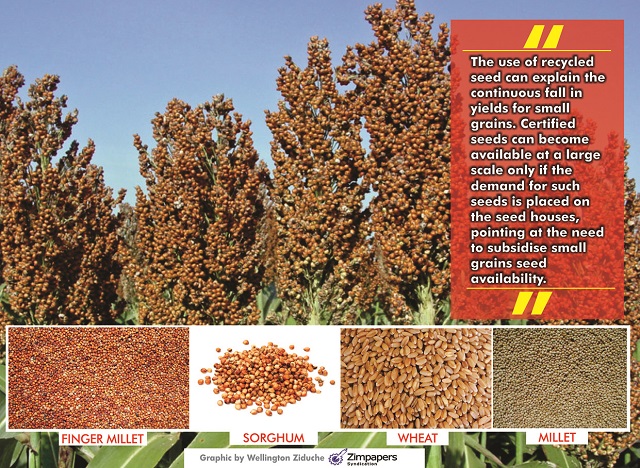 Promote small grain seed production