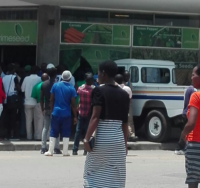 Trainee police driver in freak accident