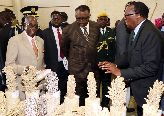 Presidents tour stands