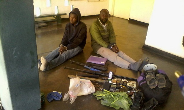 ‘Poacher’ school head, son nabbed