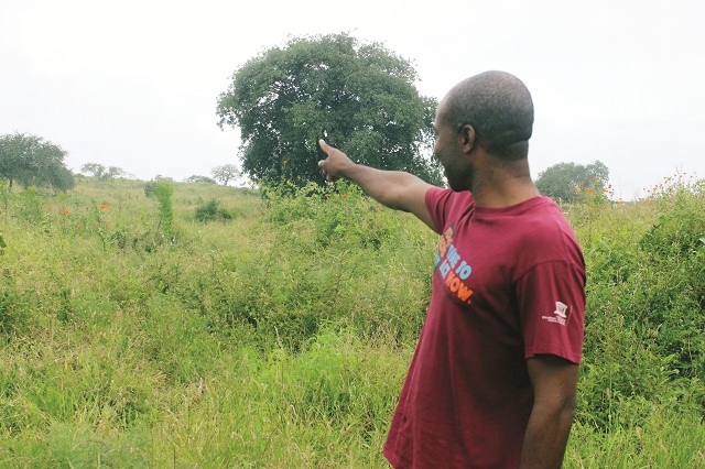 Will the Nkulumane hill, heal tormented souls?