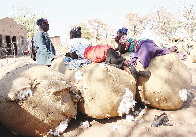 Cotton deliveries reach 120k tonnes