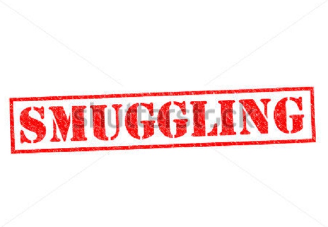 21 trucks,22 vehicles intercepted over smuggling