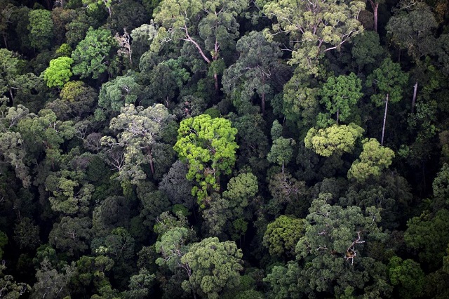 COMMENT : New farmers should preserve forests