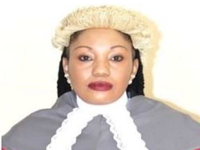New Zec chairperson appointed
