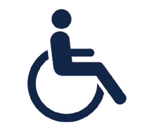 Zim endorses African Charter on disabled persons
