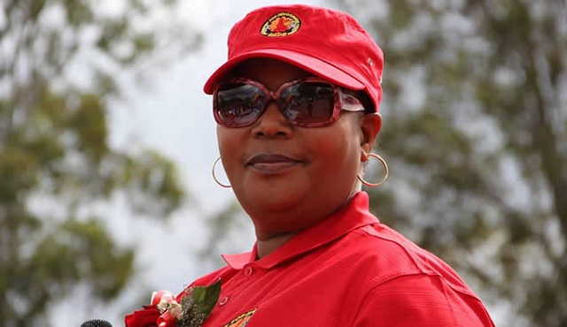 Canada slams MDC-T violence