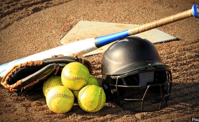 Softball elects new executive