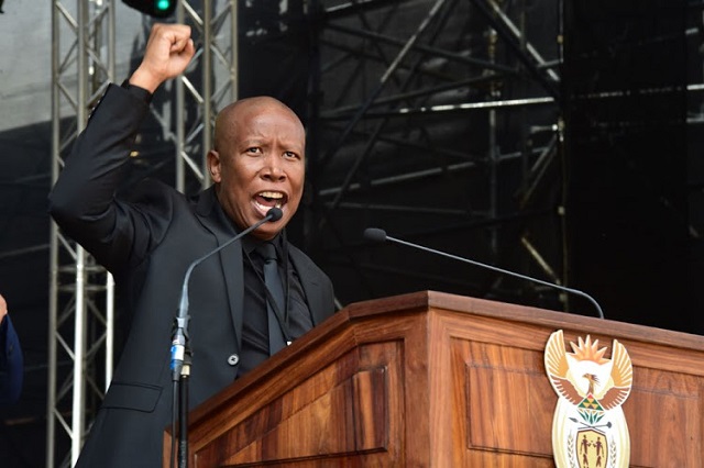 Zimbabweans take part in Malema challenge
