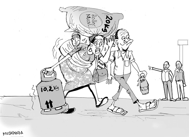 Today’s Cartoon