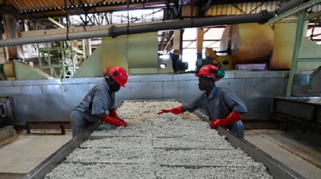 Africa must shift from dependence to diversification, now