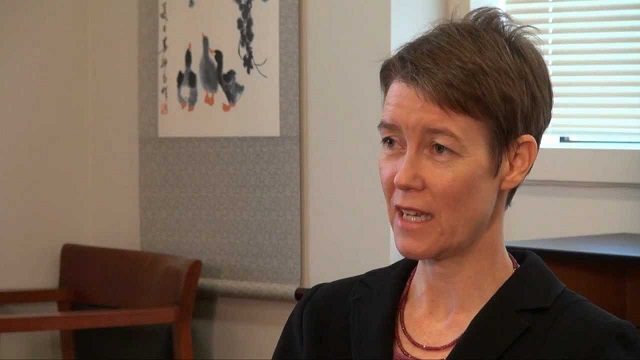 Zimbabwe pre-poll peaceful: Aussie envoy