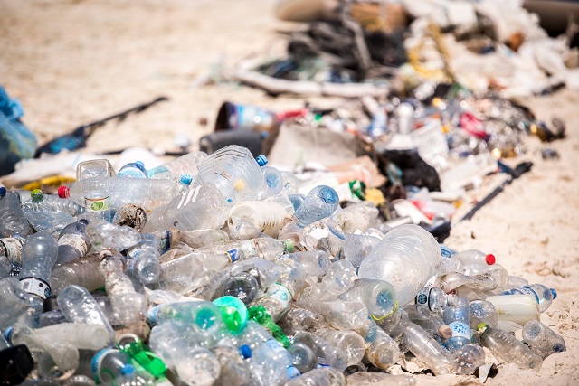 Coca-Cola rallies industry to fight plastic pollution