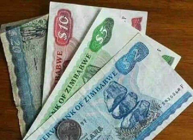Economists ponder Zim-dollar return