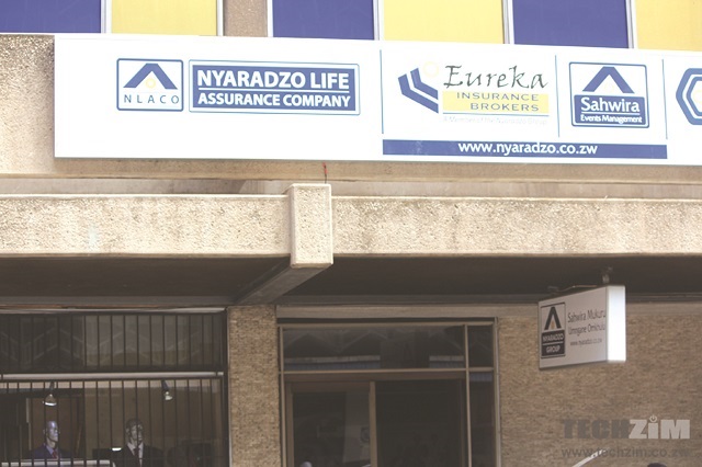 Nyaradzo snaps up biggest market share