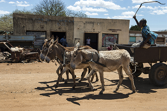 UPDATED: Crash with donkey cart kills biker