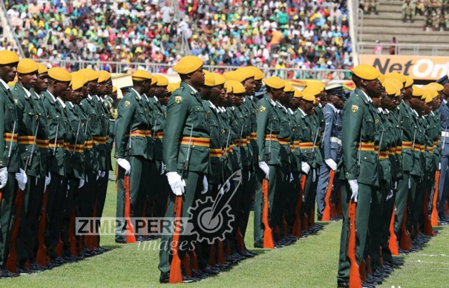 Zim marks Defence Forces Day. . . Nation urged to celebrate crucial ZDF role