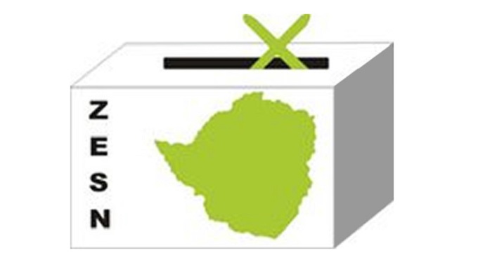 Global observer group backs ZESN