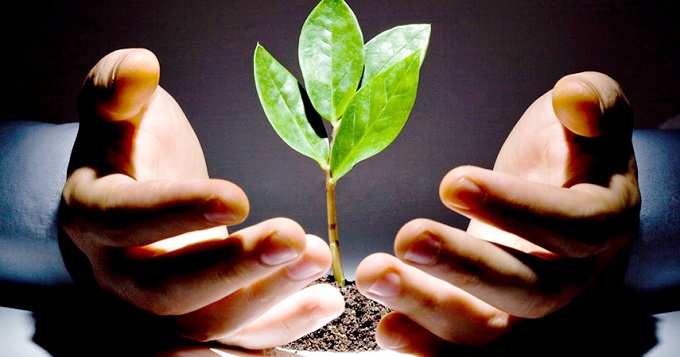 Venture capital funding, industry and youth entrepreneurship