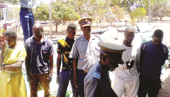 Presidential Inputs ‘theft gang’ arrested