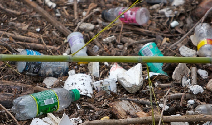 Ruwa Local Board warns against dumping of litter