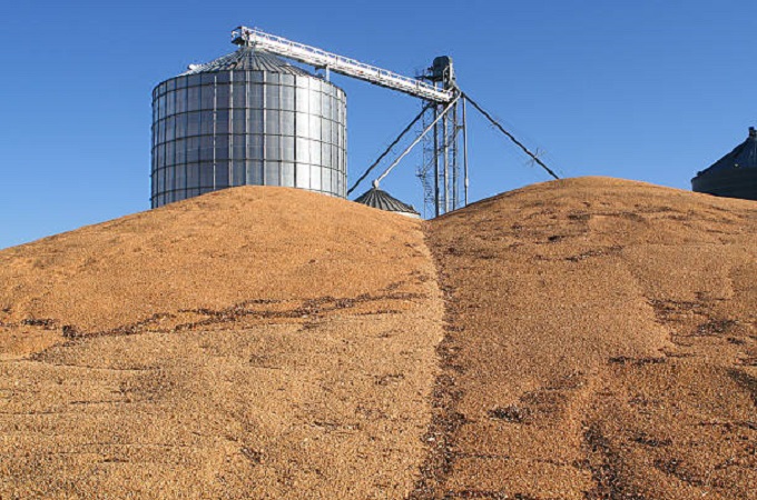 Fortification equipment costly for millers – GMAZ