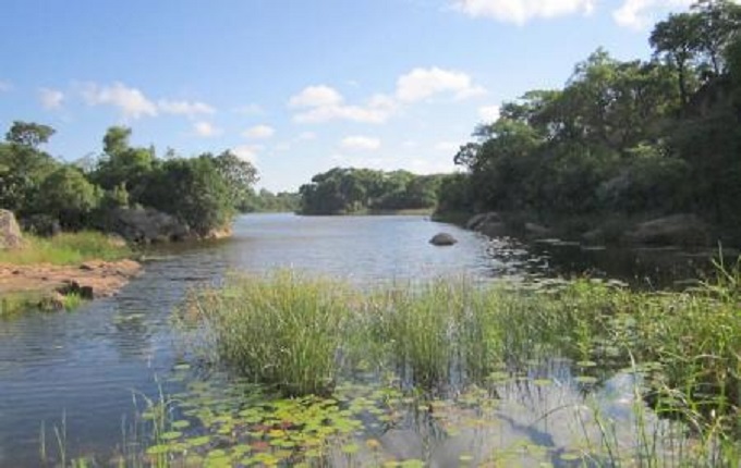 Two bodies found floating in dams