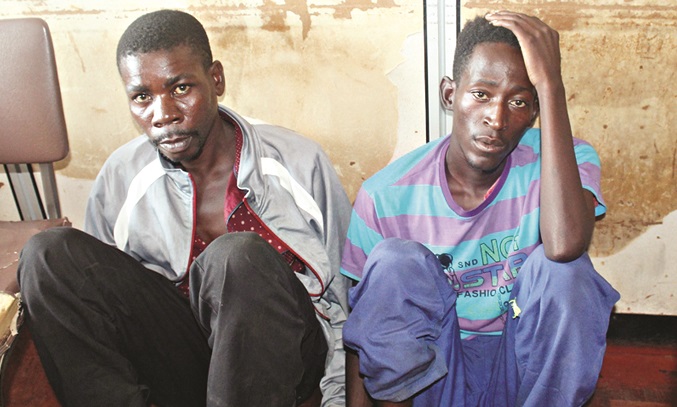 Cattle ‘rustlers’ in court