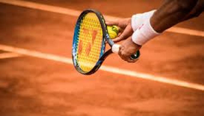TZ shelve Fed Cup return