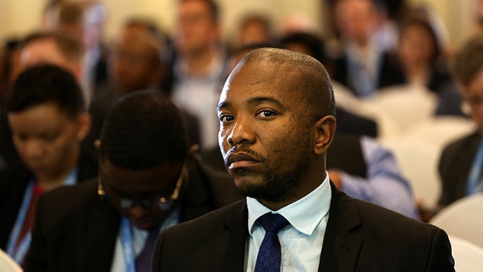 ‘Crisis in Zimbabwe: A neighbour’s perspective