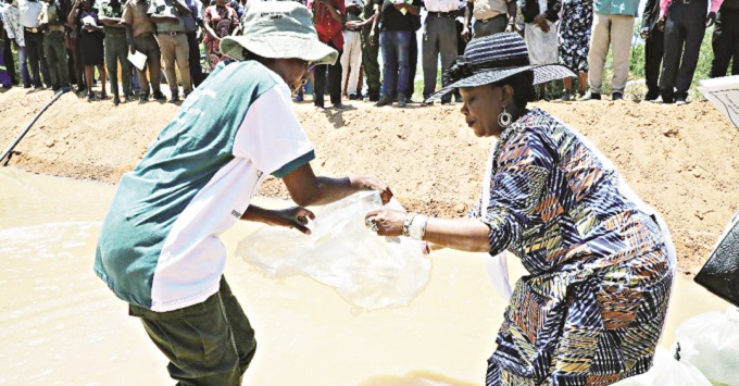 Don’t politicise my programmes: First Lady