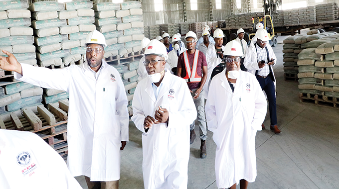 Zimra avails $250 000 for border repairs