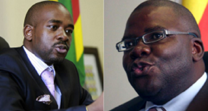 Let us work for and defend Zimbabwe