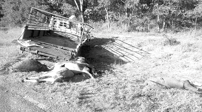 Three die in kombi & truck collision