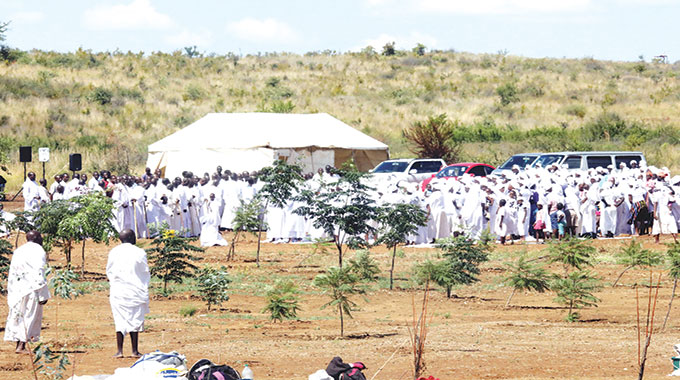 Churches celebrate Palm Sunday