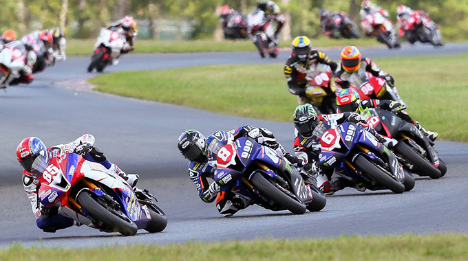 Bikers race for wildlife