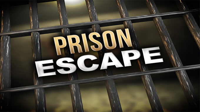 Man escapes jail term after stealing 500g of matemba