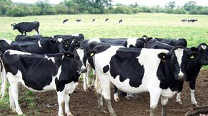 10 cattle rustlers bolt after interception