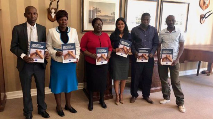 Zimbabwe courts commended
