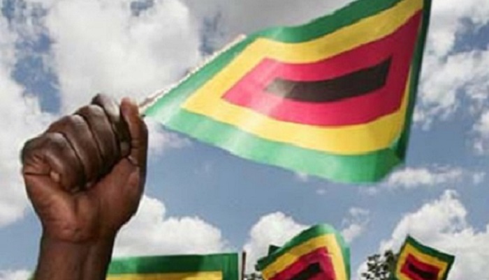 WATCH VIDEO: ZANU-PF Youth League joins #JerusalemaChallenge