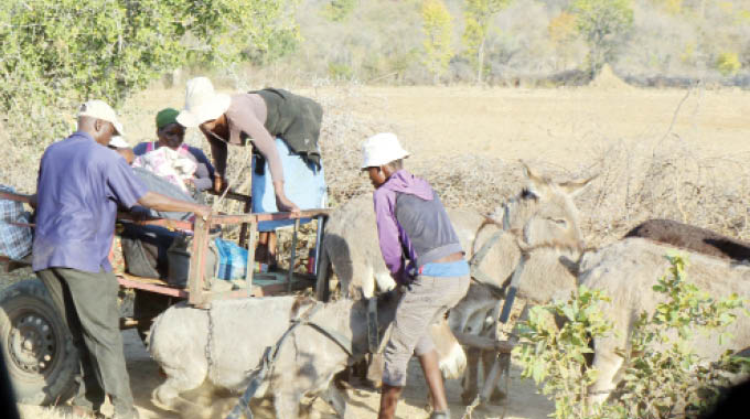 3 die in scotch cart mishaps