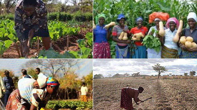 Letters to the Editor: Zim opens public consultation on climate adaptation strategy
