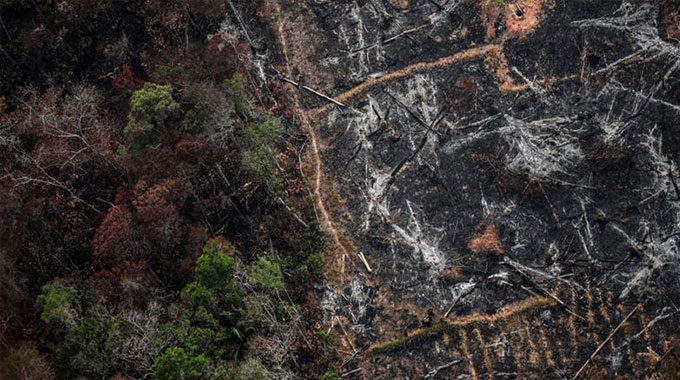 G7 pledges $20m to fight record Amazon fires